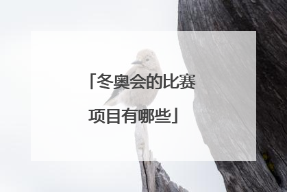 冬奥会的比赛项目有哪些