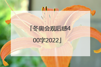 「冬奥会观后感400字2022」冬奥会观后感400字2022结尾