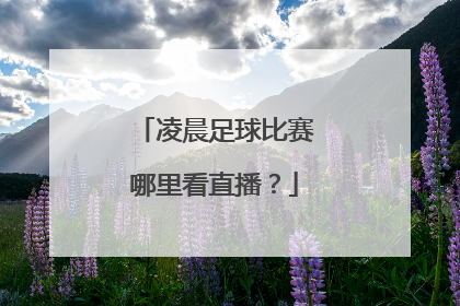 凌晨足球比赛哪里看直播？