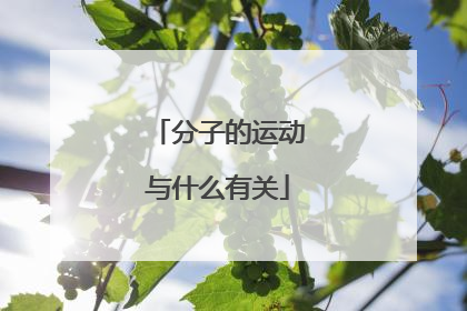 「分子的运动与什么有关」大量分子运动与什么有关