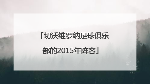 切沃维罗纳足球俱乐部的2015年阵容