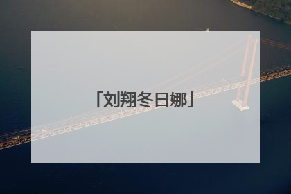 「刘翔冬日娜」冬日娜2006年采访刘翔