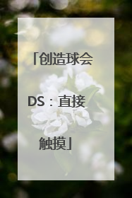 创造球会DS：直接触摸