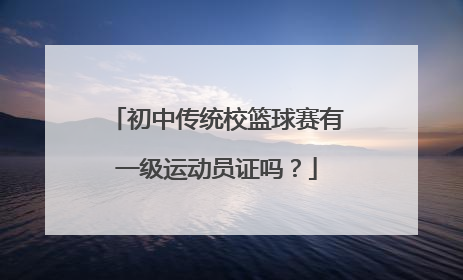 初中传统校篮球赛有一级运动员证吗？