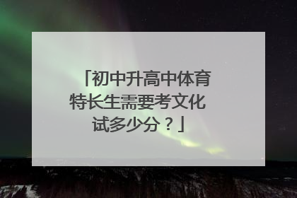 初中升高中体育特长生需要考文化试多少分？