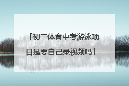 初二体育中考游泳项目是要自己录视频吗