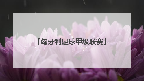 「匈牙利足球甲级联赛」匈牙利足球甲级联赛2022