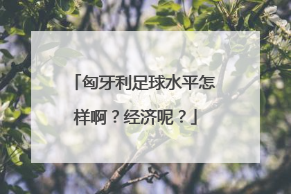 匈牙利足球水平怎样啊？经济呢？