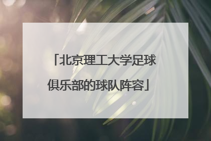 北京理工大学足球俱乐部的球队阵容