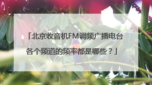 北京收音机FM调频广播电台各个频道的频率都是哪些？