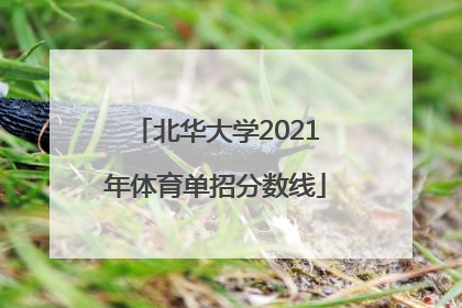 北华大学2021年体育单招分数线