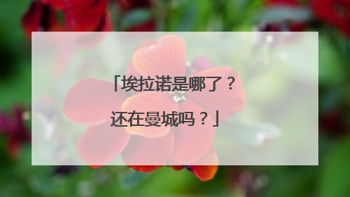 埃拉诺是哪了？还在曼城吗？