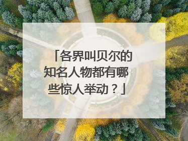 各界叫贝尔的知名人物都有哪些惊人举动？