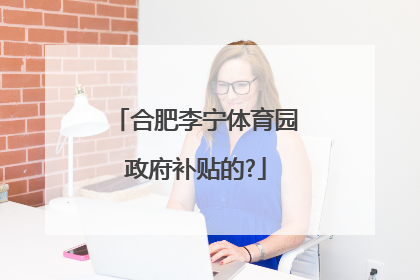 合肥李宁体育园政府补贴的?