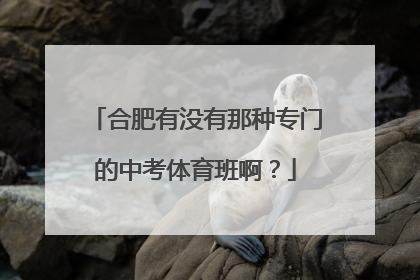 合肥有没有那种专门的中考体育班啊？