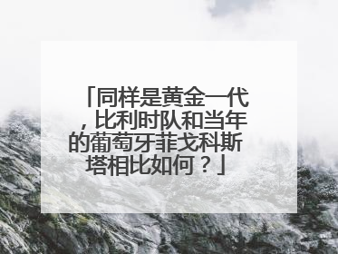 同样是黄金一代，比利时队和当年的葡萄牙菲戈科斯塔相比如何？