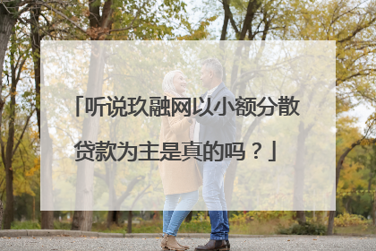 听说玖融网以小额分散贷款为主是真的吗？