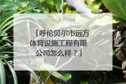 呼伦贝尔市远方体育设施工程有限公司怎么样？