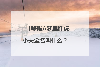 哆啦A梦里胖虎 小夫全名叫什么？