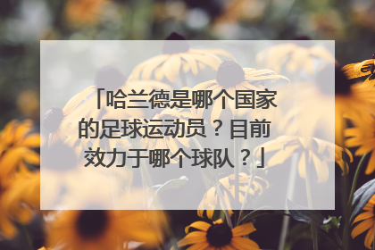 哈兰德是哪个国家的足球运动员？目前效力于哪个球队？