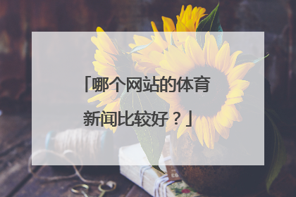 哪个网站的体育新闻比较好？