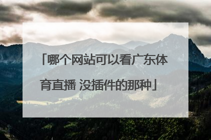 哪个网站可以看广东体育直播 没插件的那种