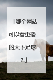 哪个网站可以看重播的天下足球？