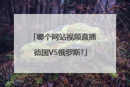 哪个网站视频直播德国VS俄罗斯?