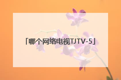 哪个网络电视TJTV-5