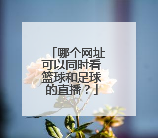 哪个网址可以同时看篮球和足球的直播？