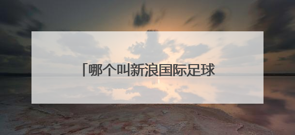 哪个叫新浪国际足球，主要是经营什么的