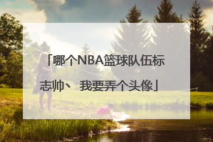 哪个NBA篮球队伍标志帅丶 我要弄个头像