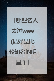 哪些名人去过wwe(最好是比较知名的明星）