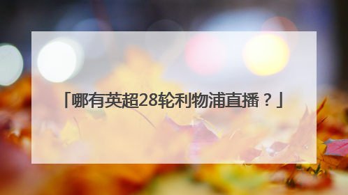 哪有英超28轮利物浦直播？