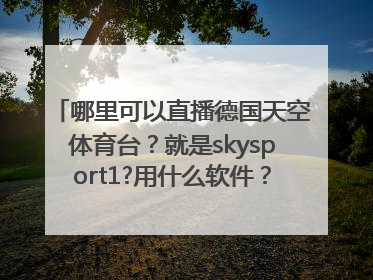 哪里可以直播德国天空体育台？就是skysport1?用什么软件？sopcast 还是pplive?