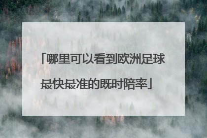 哪里可以看到欧洲足球最快最准的既时陪率