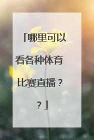 哪里可以看各种体育比赛直播？？