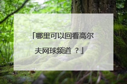 哪里可以回看高尔夫网球频道 ？