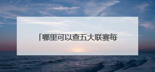 哪里可以查五大联赛每轮过后积分，如查第七轮、第五轮以后等等。