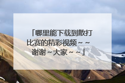 哪里能下载到散打比赛的精彩视频～～谢谢～大家～～