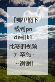 哪里能下载到pride和k1比赛的视频？ 至急～～谢谢