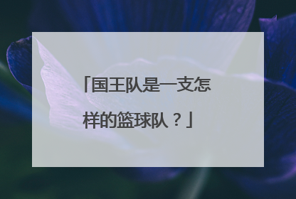 国王队是一支怎样的篮球队？