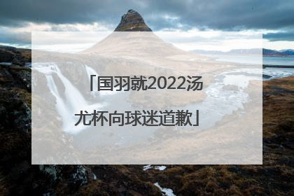 国羽就2022汤尤杯向球迷道歉