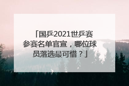 国乒2021世乒赛参赛名单官宣，哪位球员落选最可惜？