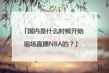 国内是什么时候开始现场直播NBA的？