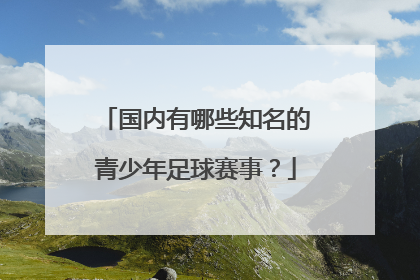 国内有哪些知名的青少年足球赛事？