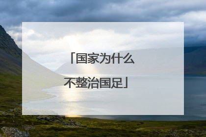 「国家为什么不整治国足」国家为什么不培养国足