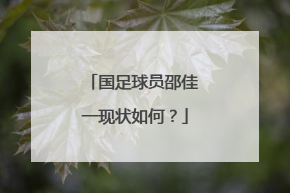 国足球员邵佳一现状如何？