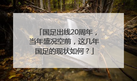 国足出线20周年，当年盛况空前，这几年国足的现状如何？