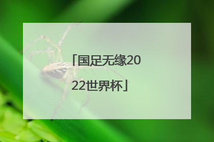 「国足无缘2022世界杯」国足无缘2022世界杯怎么看